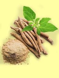 Ashwagandha Extract